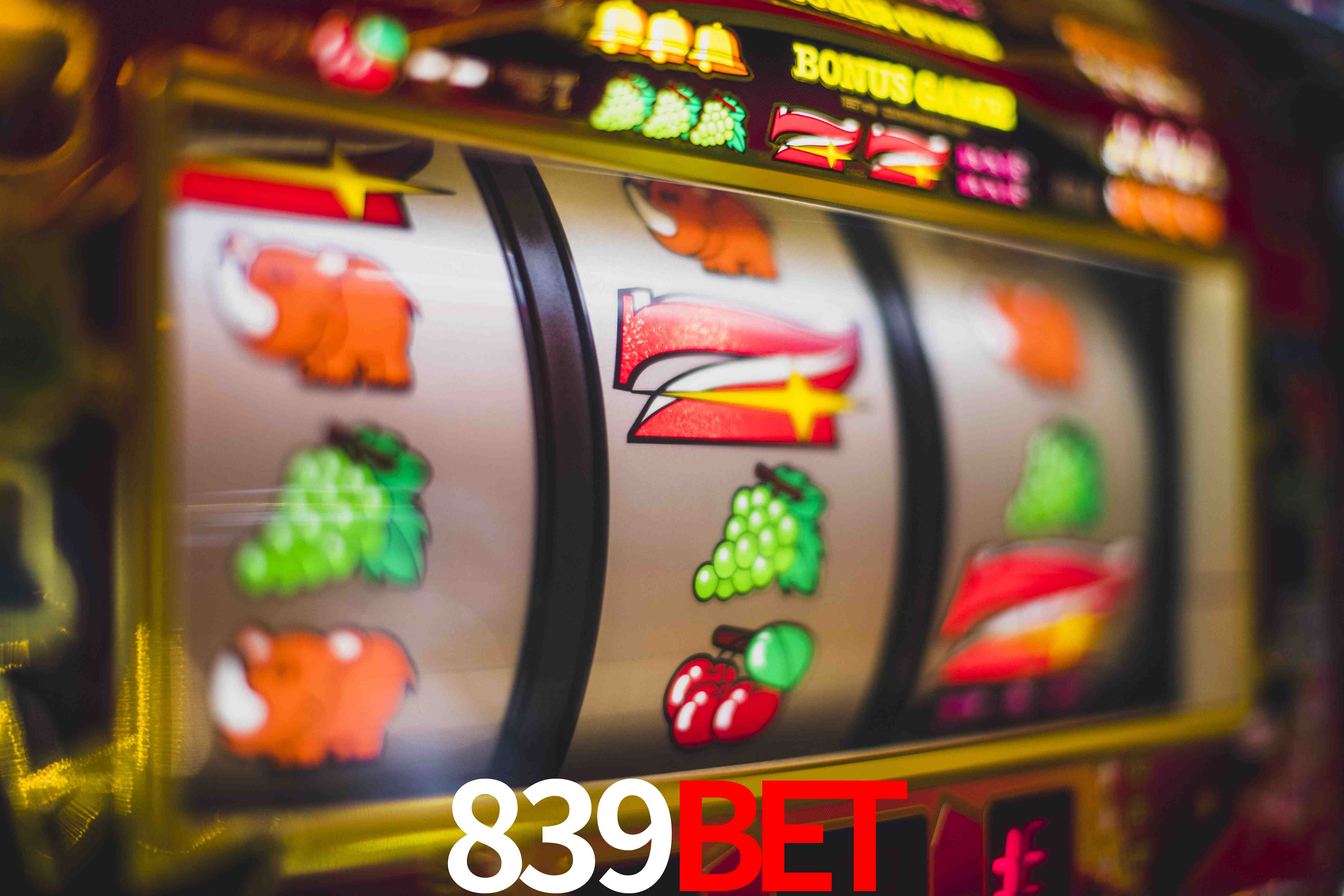 Statistics 839bet
